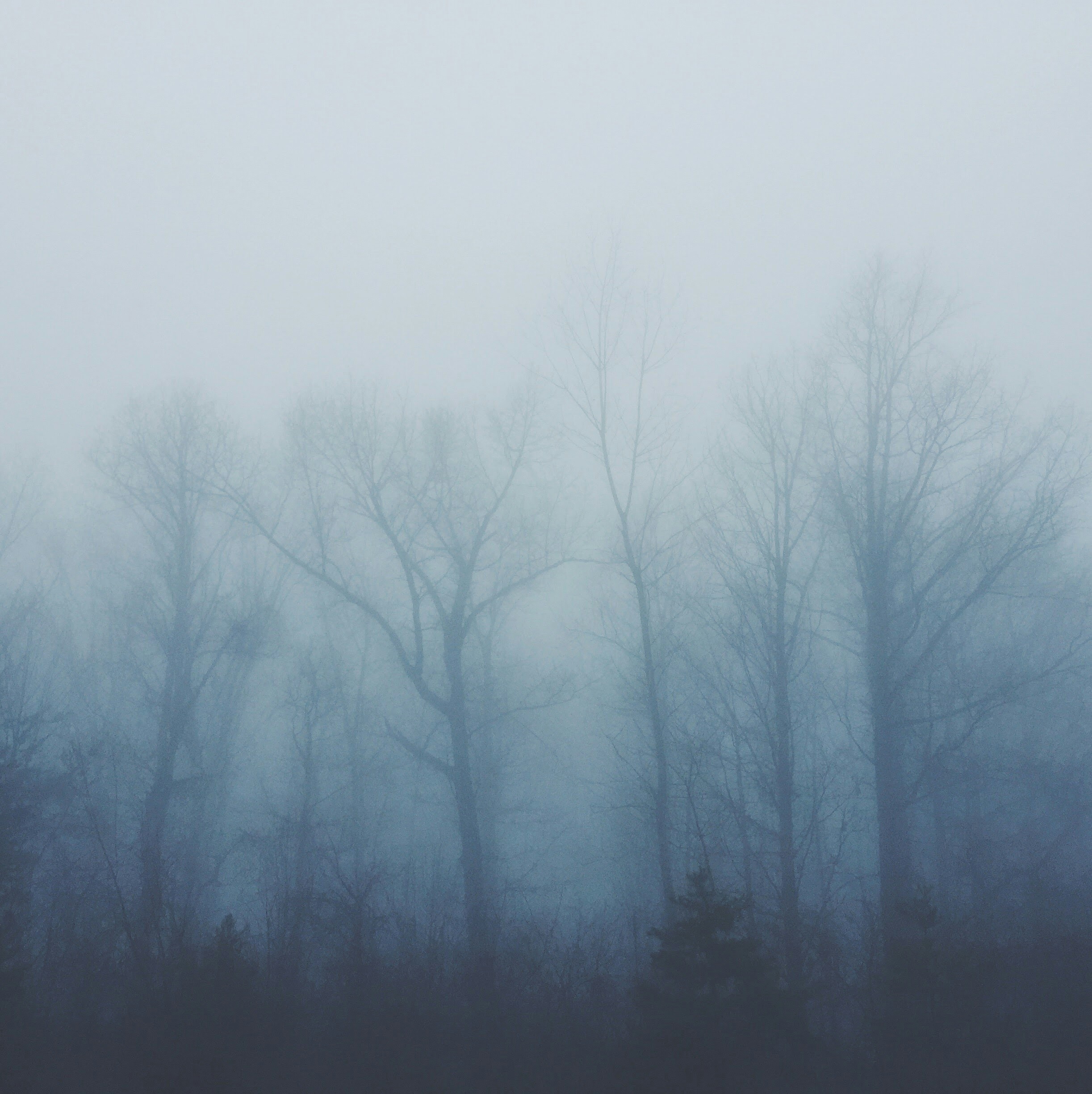 Navigating Existential Doubt: Finding Meaning and Direction
